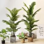 フェイクグリーン 大型 人工観葉植�