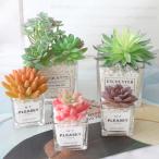 フェイクグリーン 人工多肉植物 かわいい 人工観葉植物 小型 ミニ 鉢植え インテリア飾り 卓上 水やり不要 お世話不要 プレゼント 新築祝い 母の日 父の日