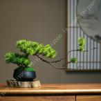  искусственная зелень настольный человеческий труд декоративное растение . сосна человеческий труд бонсай wellcome сосна поддельный tree парадная дверь living офис магазин оборудование орнамент Cafe офисная работа место кабинет растение в горшке 