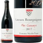 2017 コトー ブルギニョン ルージュ メ ガメイ ニコラ フォール 正規品 赤ワイン 辛口 750ml Nicolas Faure Coteaux Bourguignons Rouge Mes Gamaysn