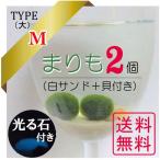 まりも3点セット　M（大）タイプ　＋光る石付き　全国送料無料