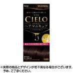シエロオイルインヘアマニキュアダークブラウン 100g+3g+10g ×1個