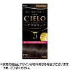 シエロオイルインヘアマニキュアアッシュブラウン 100ｇ＋3ｇ＋10ｇ ×1個