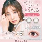 エバーカラーワンデーナチュラル 20枚 1箱 カラコン カラーコンタクトレンズ EverColor 1day Natural 20枚パック one day