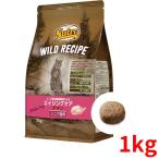 猫用ドライフード