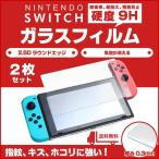 ニンテンドー スイッチ 保護 フィルム 任天堂 Nintendo Switch 強化ガラス 日本製素材 ブルーライトカット 貼りやすい 2枚セット