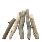 ���ؖ_50����������5�{�Z�b�g a464 DIY���|�C���e���A�X�܃f�B�X�v���C��B�e�p�Ɏg���闬�ؖ_�f��
