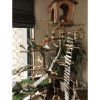 [ shop гарантия Lee угол ] Osaka (столичный округ) .книга@ sama. оригинал большой коряга bird tower. использование положение дел (gr0018)