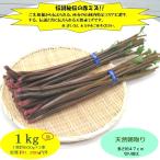 ショッピング朝までクール まだまだ食べ頃が続く...山形県最上峡舟下りの里〜新鮮天然朝取りご予約山菜 [ 秘伝の赤ミズ１kg強 ]!! クール便でお届け。