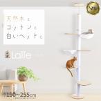 キャットタワー 突っ張り Latte 天然木 猫タワー 猫ハンモック ペット ベッド おしゃれ スリム 大型猫 ハンモック 爪とぎ 臭くない 低ホルム