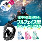 シュノーケルマスク 水中メガネ 子供用 大人用 アウトドア 海水浴 シュノーケリング フルフェイス型 180度視野 マスク 曇り止め GoPro対応 男女兼用 ダイビング