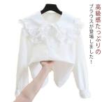 ショッピング韓国子供服 韓国子供服 春秋 フリル ブラウス 長袖 シャツ ビックカラー 無地 ホワイト ネック 白 カジュアル 女の子 女児 キッズ ジュニア