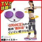Yahoo! Yahoo!ショッピング(ヤフー ショッピング)エアロライフ フラコアディスク DR-9710 1年保証 リモート テレワーク ヒップアップ 二の腕 お腹まわり エクササイズ 運動