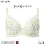 ワコール 小さく見せるブラ レーシィ ブラジャー 3/4カップ(G H)BRB453