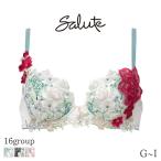 サルート Salute 16グループ ワコール ブラジャー 3/4カップ プッシュアップタイプ(G H I)BTJ416
