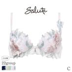 サルート Salute 22グループ ワコール ブラジャー 3/4カップ プッシュアップタイプ(C)BTJ422