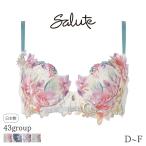 サルート Salute 43グループ ワコール ブラジャー プッシュアップタイプ