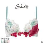 サルート Salute 16グループ ワコール ブラジャー 3/4カップ フロントエックスプラスブラ(G)BTJ716