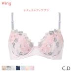 ウイング ナチュラルアップブラ ブラジャー 3/4カップ(C D)KB2060