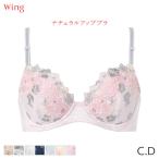 ウイング ナチュラルアップブラ ブラジャー 3/4カップ(C Dカップ)KB2060