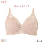 ウイング 夏のうすかるブラ ブラジャー フルカップ(C D)KB2173