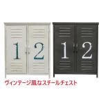 スチールチェスト2列 縦型ロッカー キャビネット アイアン収納 マルチラック/カラーボックス/店舗什器 ビンテージ風 ドロワー インダストリアル