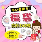 【まとめ買いにぴったり】マスク 福袋 不織布マスク 大容量 使い捨てマスク 安い 冷感マスク ひんやり 接触冷感 暑さ対策 レディース メンズ 通勤通学 おでかけ