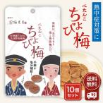 ぺたんこ ちょび梅 8g 10袋セット 干し梅 国産 紀州産 南高梅 種なし 無添加 すっぱい 梅 お菓子 乾燥 梅肉 夏 熱中症 タブレット 塩分補給 たねぬき