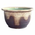 信楽焼NEW灰釉千段深水鉢15号睡蓮鉢