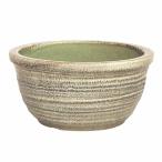 信楽焼NEW天目ひねり水鉢13号睡蓮鉢