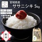 新米 お米 米 5kg ササ