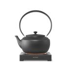 バルミューダ BALMUDA KPT02JP-BK 温度調整機能つき 電気ケトル Moon Kettle 0.9L ブラック