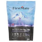 猫用ドライフード
