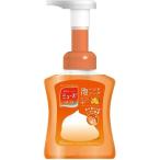 【ミューズ 泡ハンドソープW フルーティフレッシュ 250ml 医薬部外品】