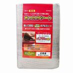 広電(KODEN) あったかシート 180×180cm 厚さ 4mm ホットカーペット 2畳 専用 床の保護に 省エネ 熱効率向上 厚手 KD4