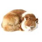  кошка мягкая игрушка настоящий ...... подлинный товар целиком кошка Chan украшение часть магазин украшение интерьер #5