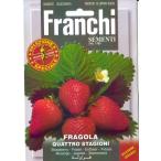 [ 大容量&播種期限間近 ] FRANCHI社 西洋野菜種子 四季成りイチゴ [Life with Green]
