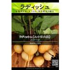 西洋野菜種子 ラディッシュ ズラータ [Life with Green]