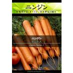 西洋野菜種子 ニンジン ナンテス [Life with Green]
