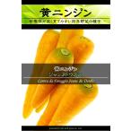 西洋野菜種子 黄ニンジン ジャンヌドウブス [Life with Green]