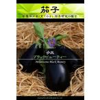 西洋野菜種子 ナス ブラックビューティー [Life with Green]
