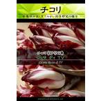 西洋野菜種子 チコリ ロッサディTV [Life with Green]