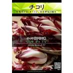 西洋野菜種子 チコリ ロッサディTV ×3袋【送料無料】 [Life with Green]