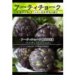 西洋野菜種子 アーティチョーク バイオレットプレコス [Life with Green]