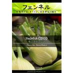 西洋野菜種子 フェンネル モンテビアンコ [Life with Green]