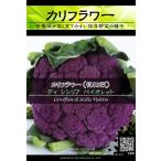 西洋野菜種子 カリフラワー ディシシリアバイオレット ×3袋【送料無料】 [Life with Green]