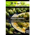 西洋野菜種子 芽キャベツ メッゾナノ ×3袋【送料無料】 [Life with Green]