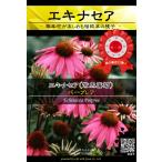 宿根草種子 エキナセア パープレア [Life with Green]