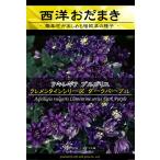 宿根草種子 アキレギア クレメンタインシリーズ ダークパープル [Life with Green]