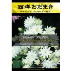 宿根草種子 アキレギア クレメンタインシリーズ ホワイト [Life with Green]